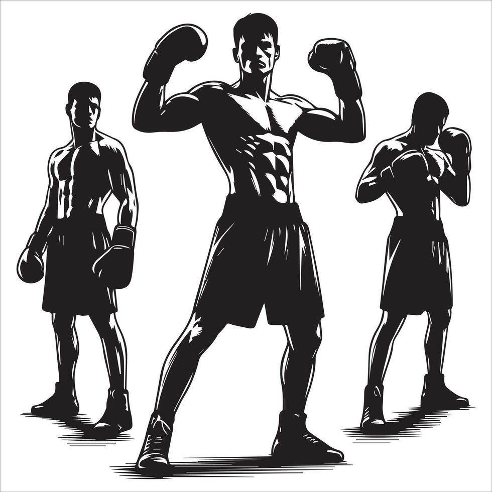 Silhouettes of a boxer in different poses vector