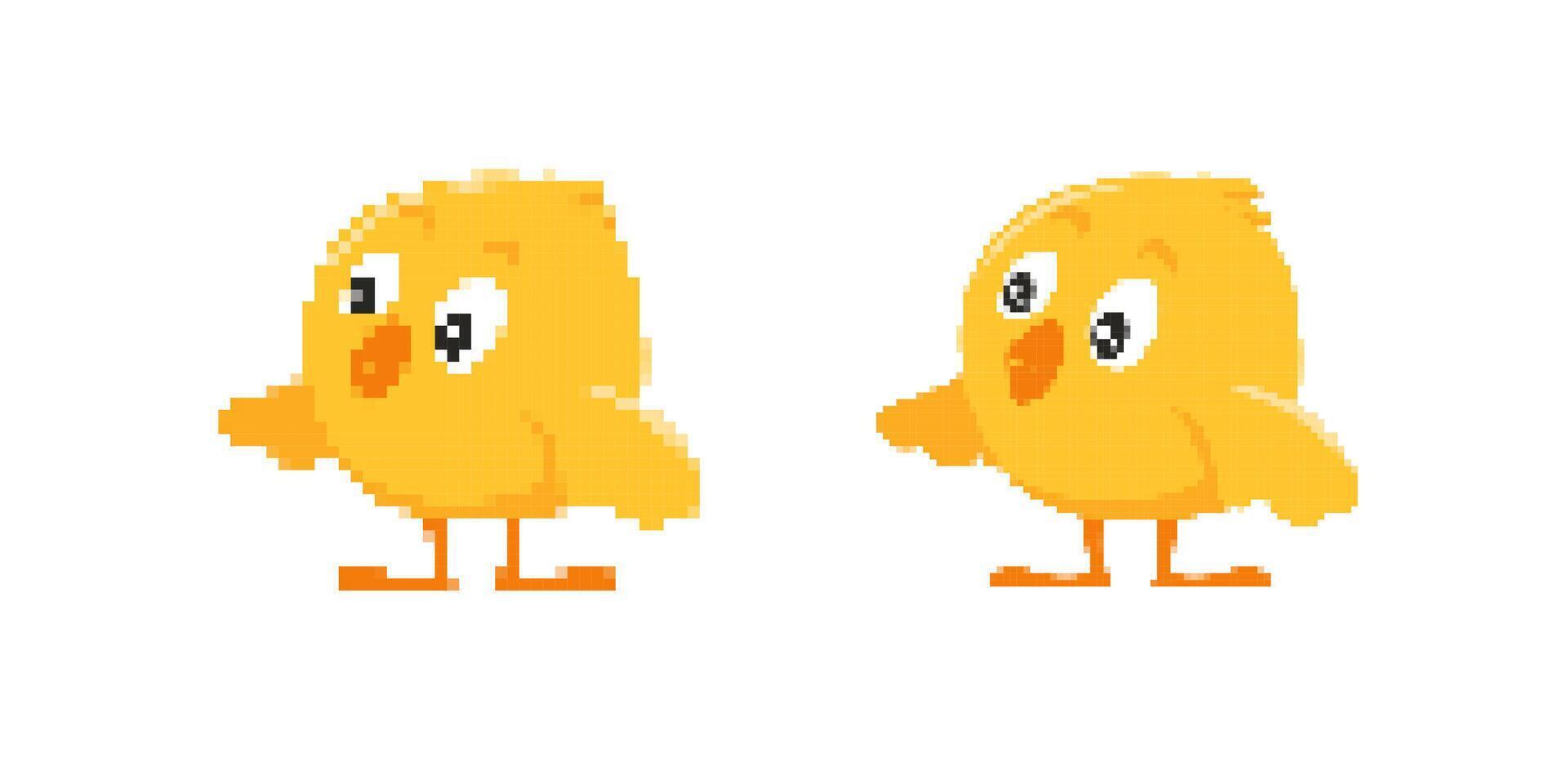 Pixel art yellow chickens walking with cute cartoon style characteristics displayed clearly vector