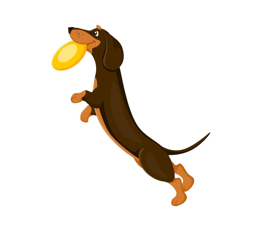 Dachshund dog puppy cartoon character with frisbee vector
