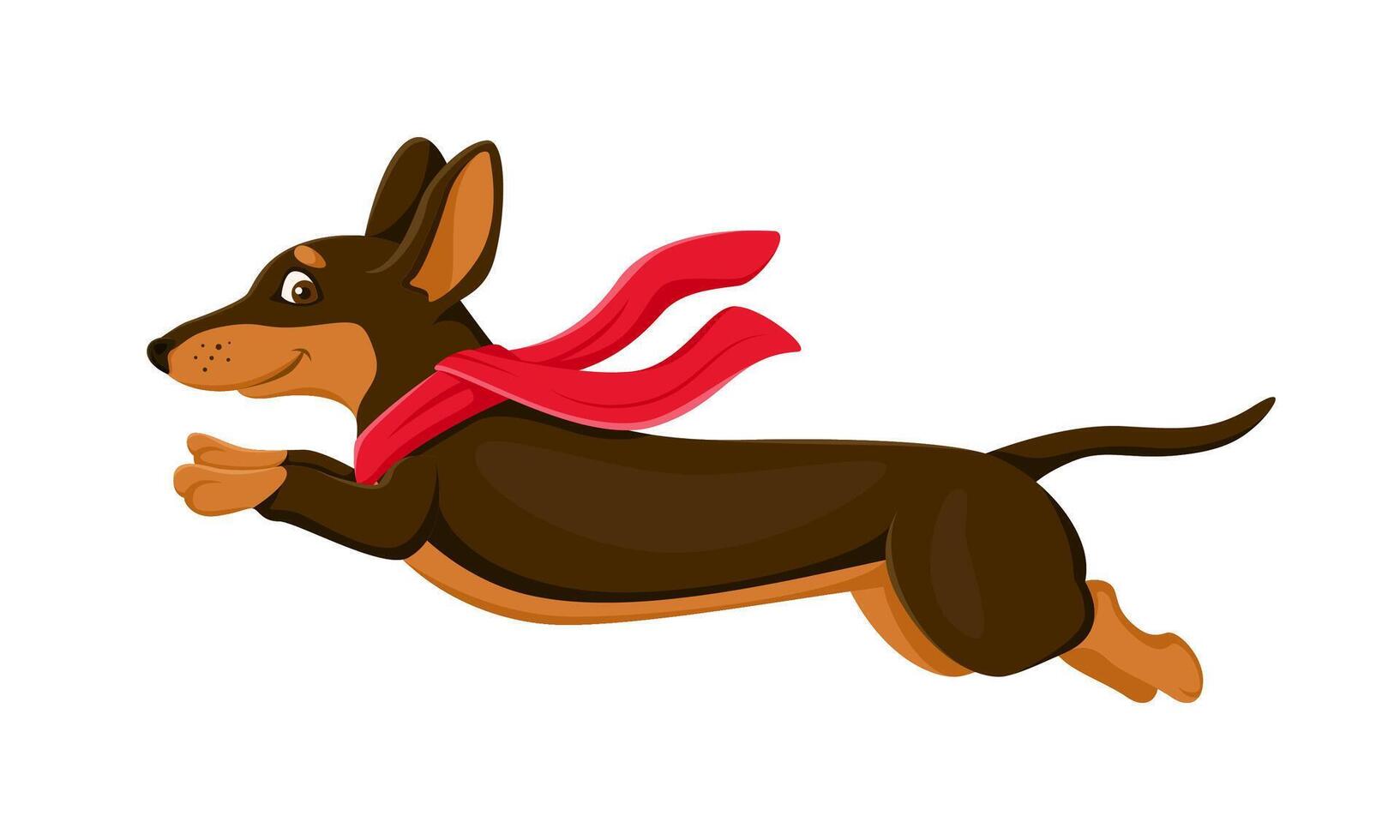 Cartoon dachshund dog puppy character leaping vector