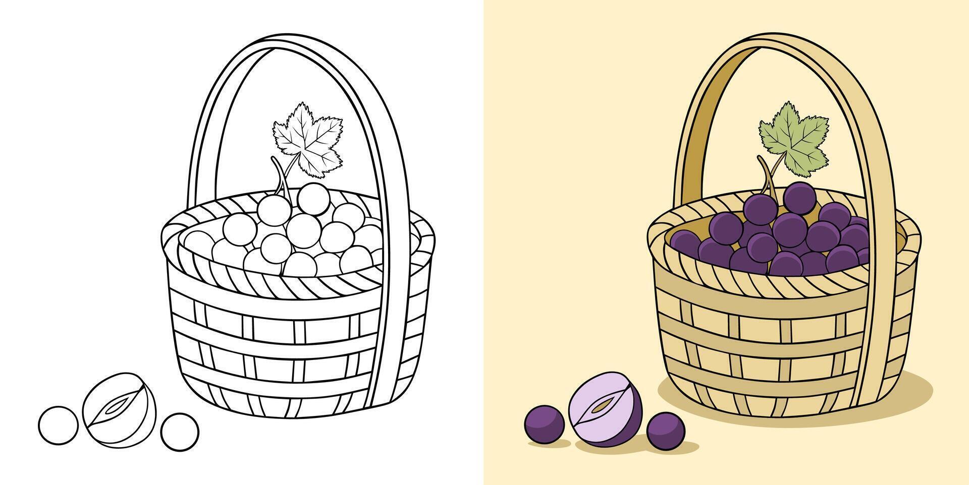 Illustration of Grapes and Slices in a Basket vector