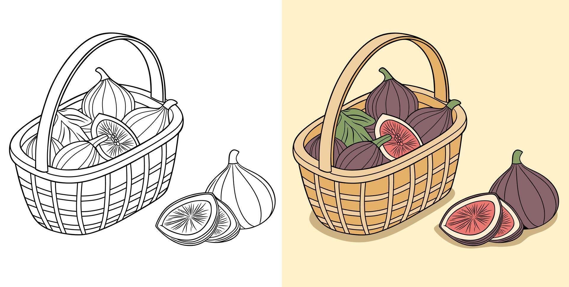 Illustration of Fig Fruit With Slices in a Basket vector