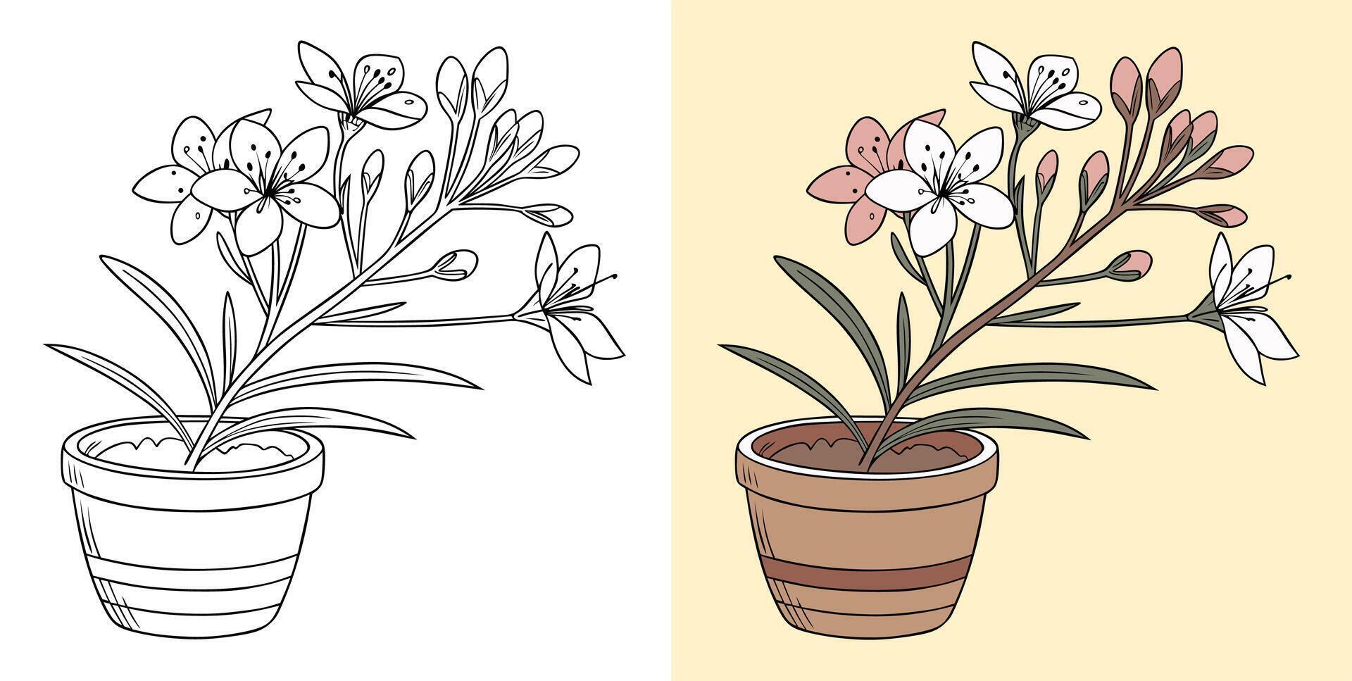 Black-White and Colored Sketch Wax Flower Illustration vector