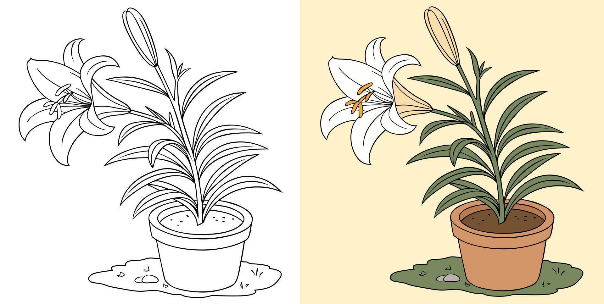 Lily flowers in a decorative pot with green leaves vector