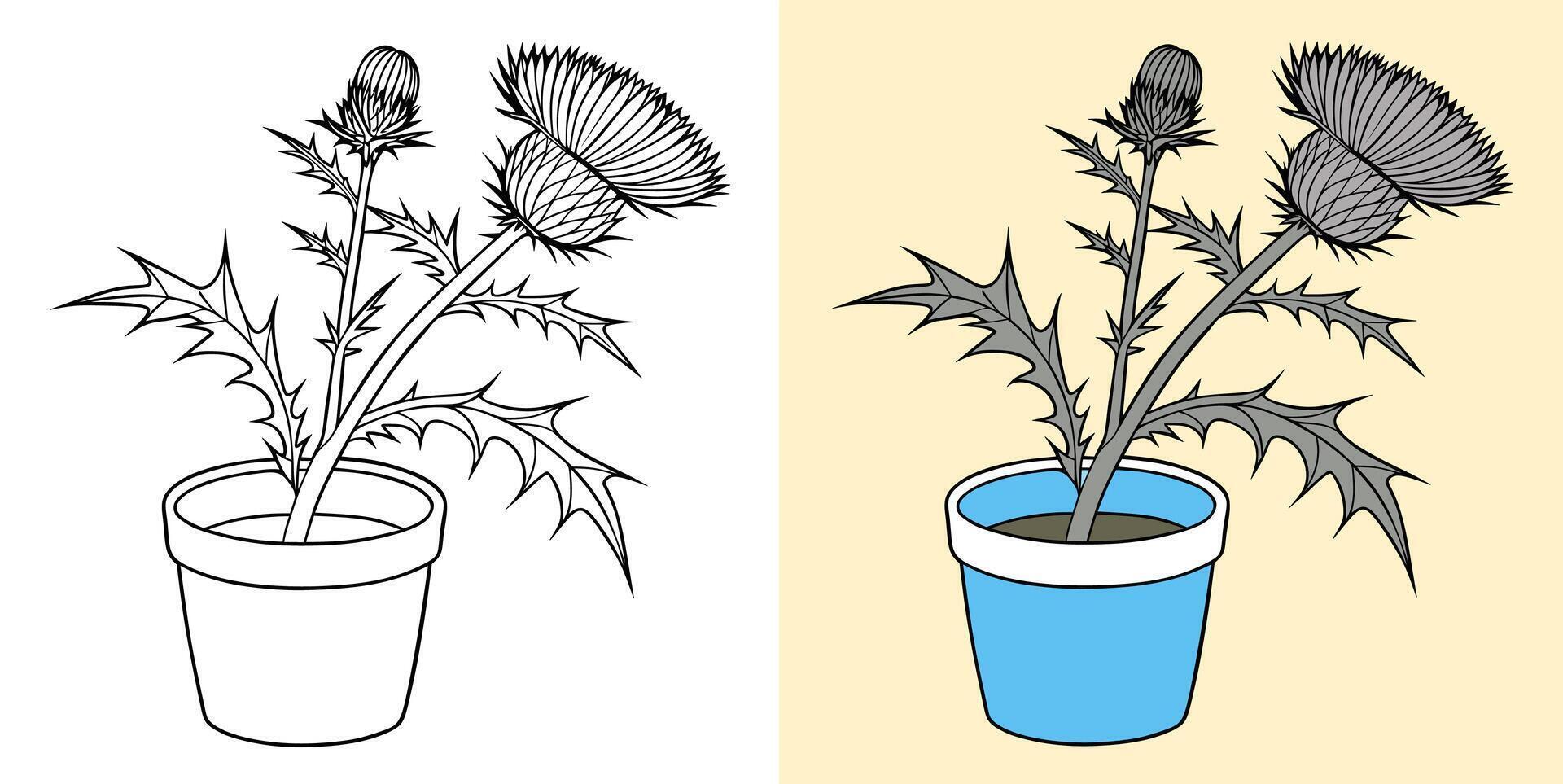 Comparison of Thistle Flower Illustrations in Black-and-White and Color Sketches vector
