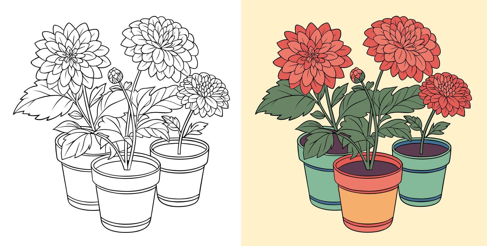 Vibrant dahlia flowers in colorful pots vector