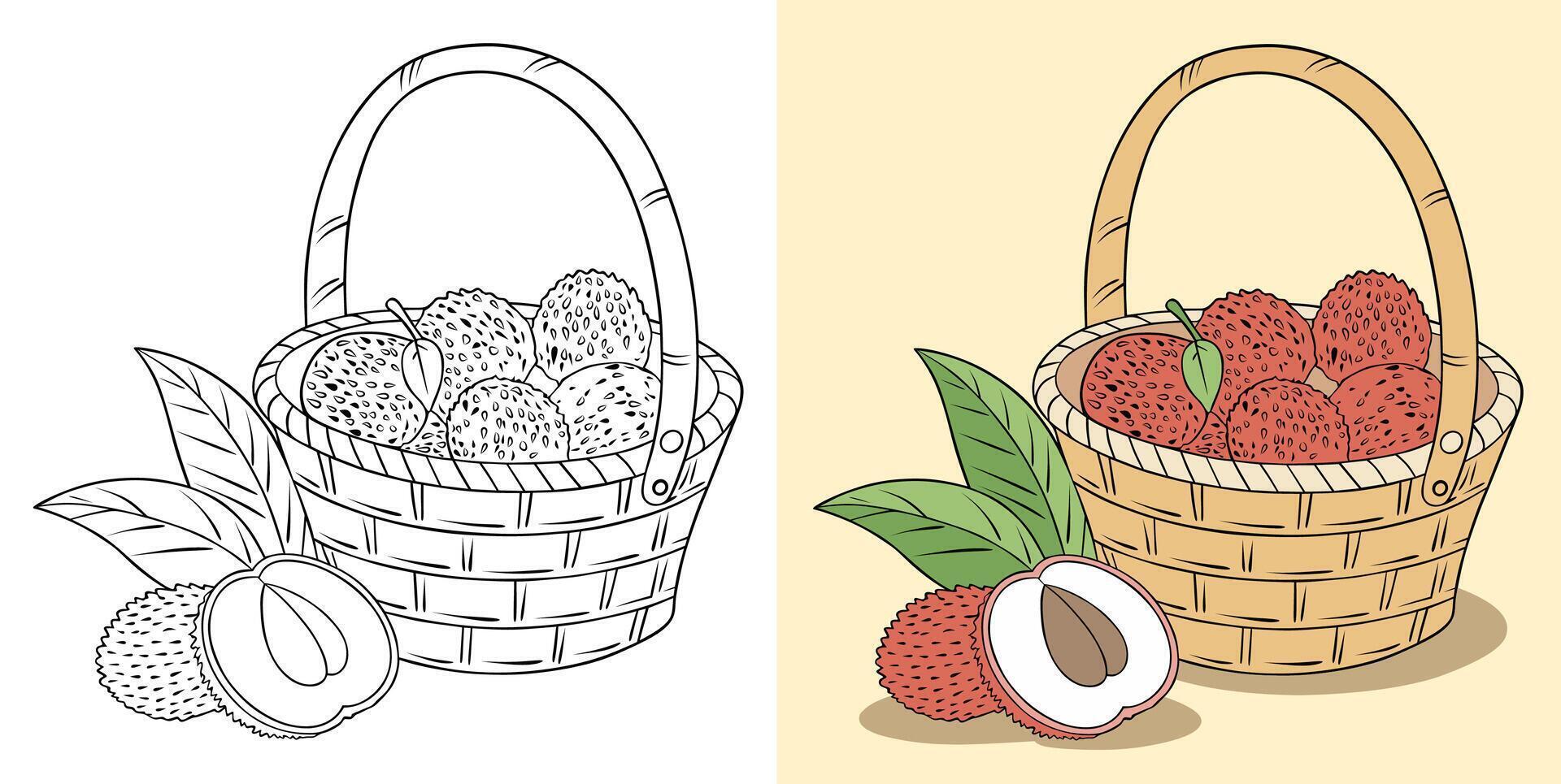 Illustration of Lychee Fruit with Slices in a Basket vector