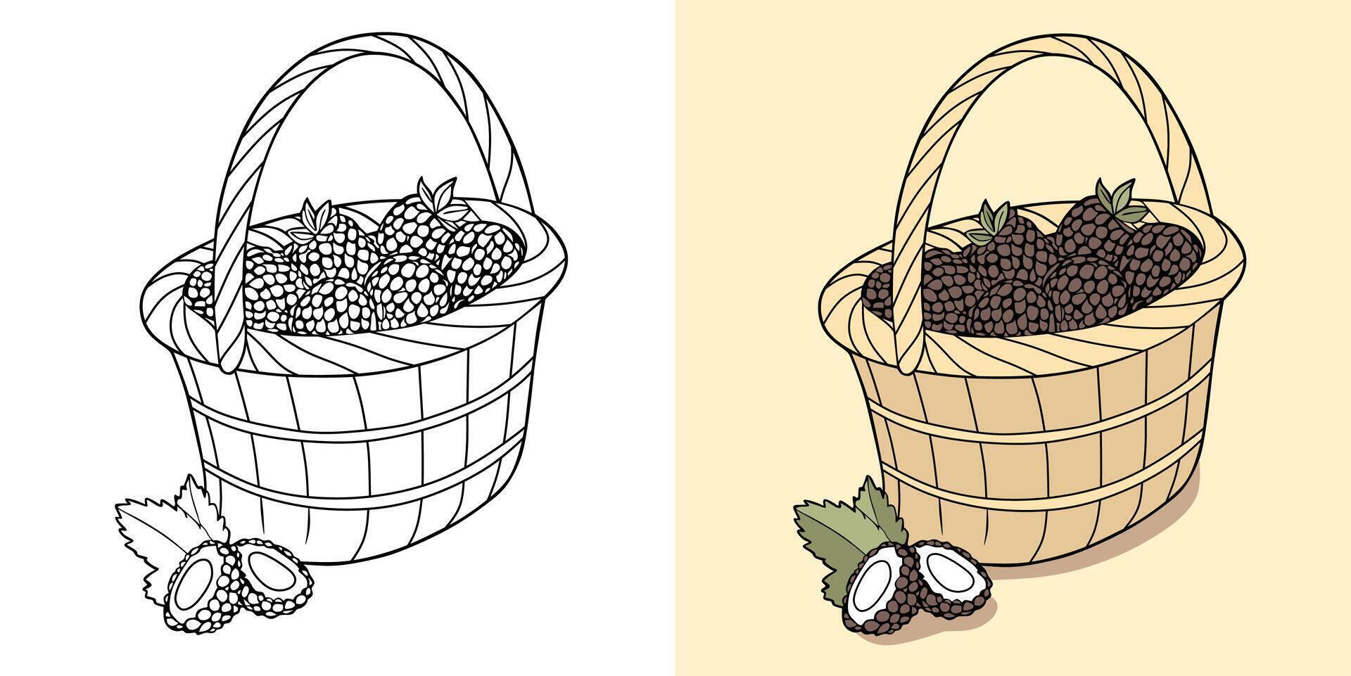 Fresh Blackberries in Basket Illustration vector