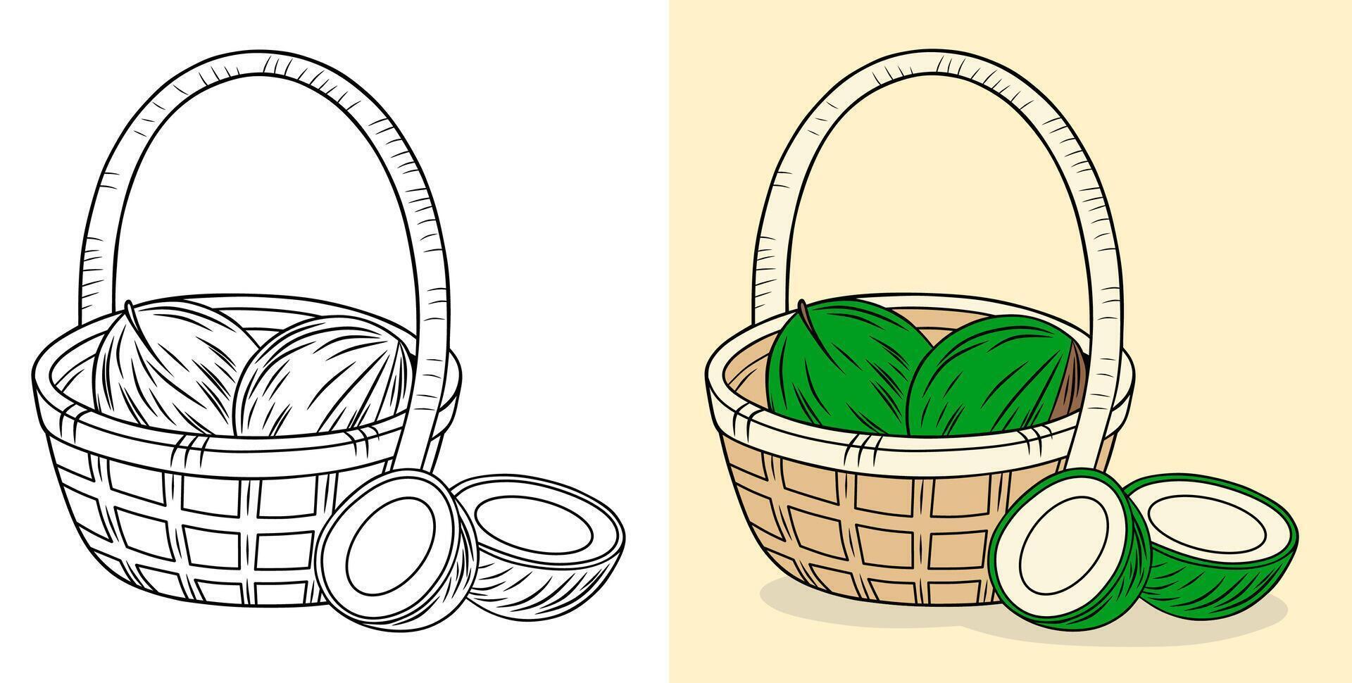 Fresh Coconuts in Basket Illustration vector