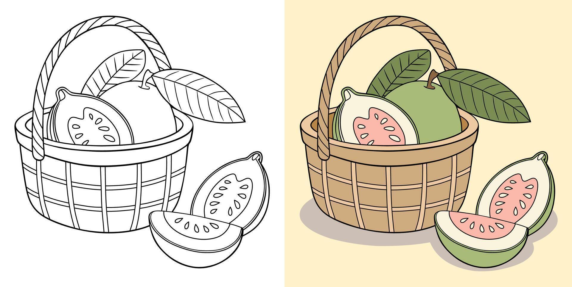 Illustration of Guava Fruit and Slices in a Basket vector