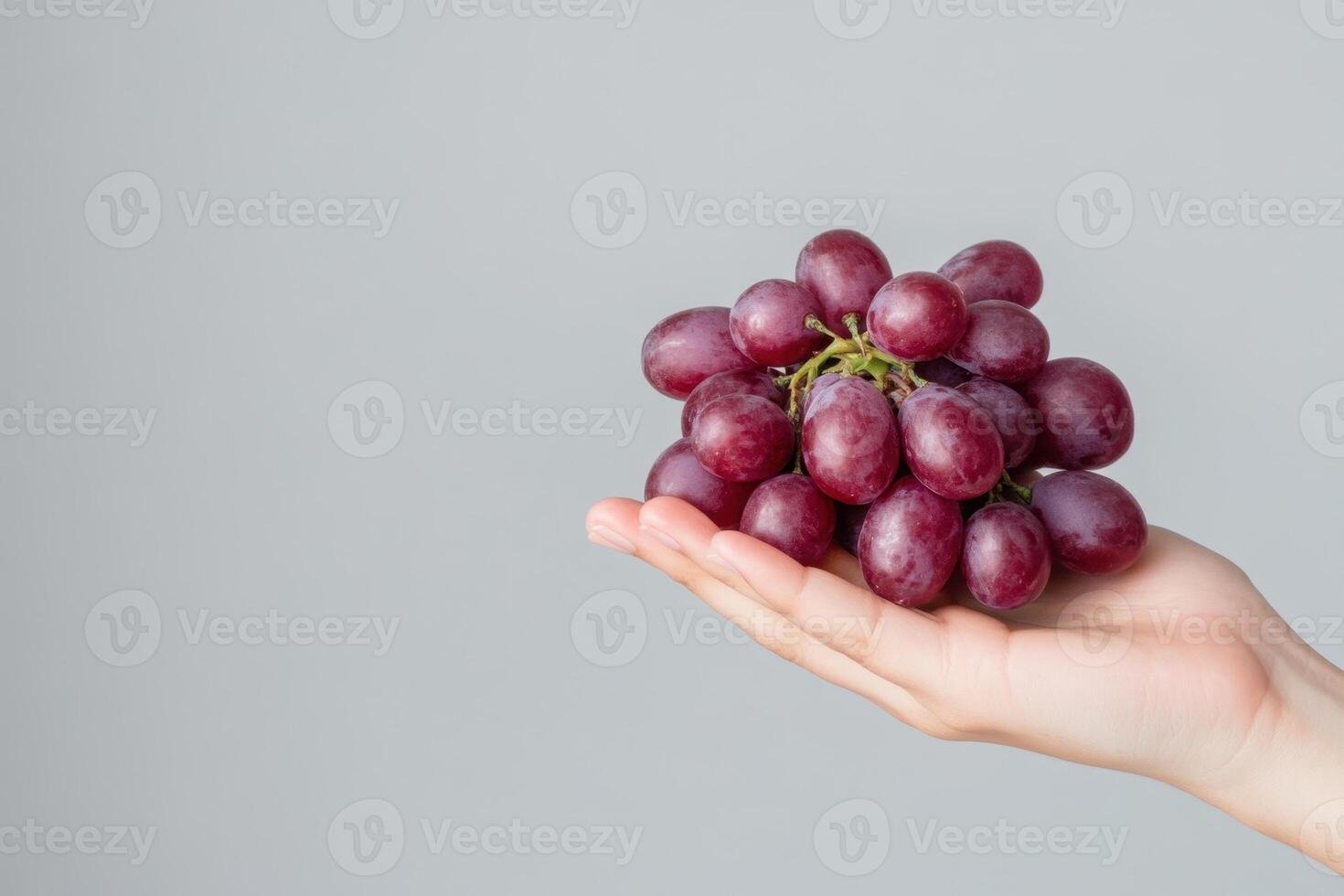 A person holds a bunch of red seedless grapes in their open hand on a light grey background photo