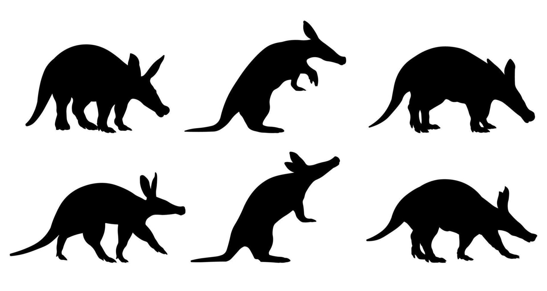 Collection silhouette Aardvark, Orycteropus on a white isolated vector