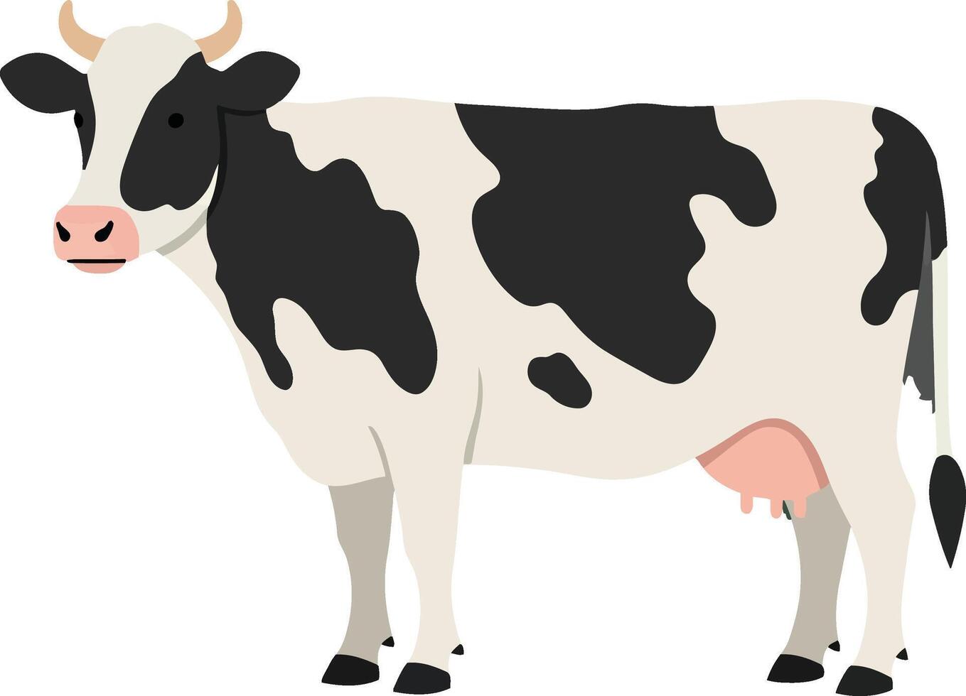 A black and white cow standing gracefully in a flat design style, showcasing its distinctive spots and calm demeanor, art vector