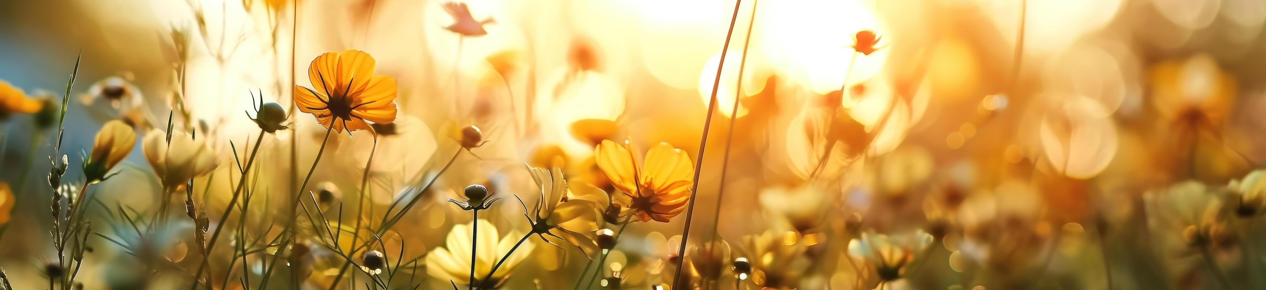 AI generated flowers on the field with an orange light photo