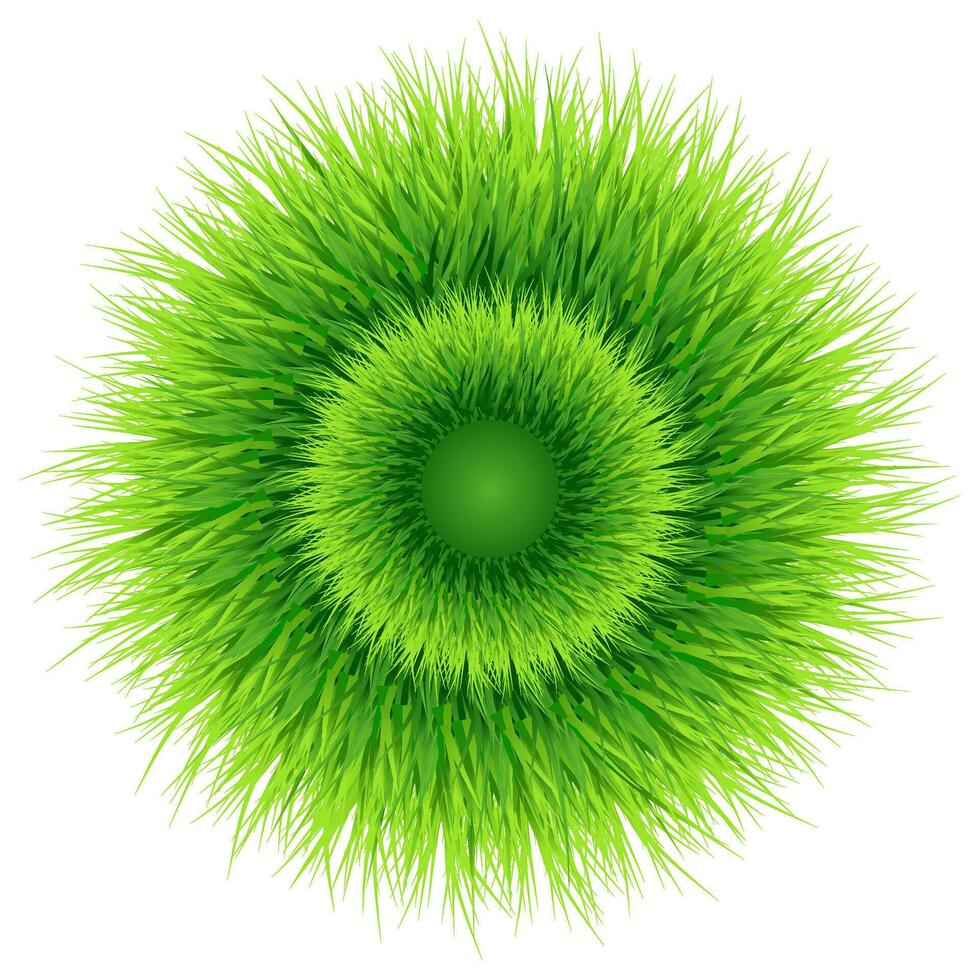 Green Grass Circle Illustration vector