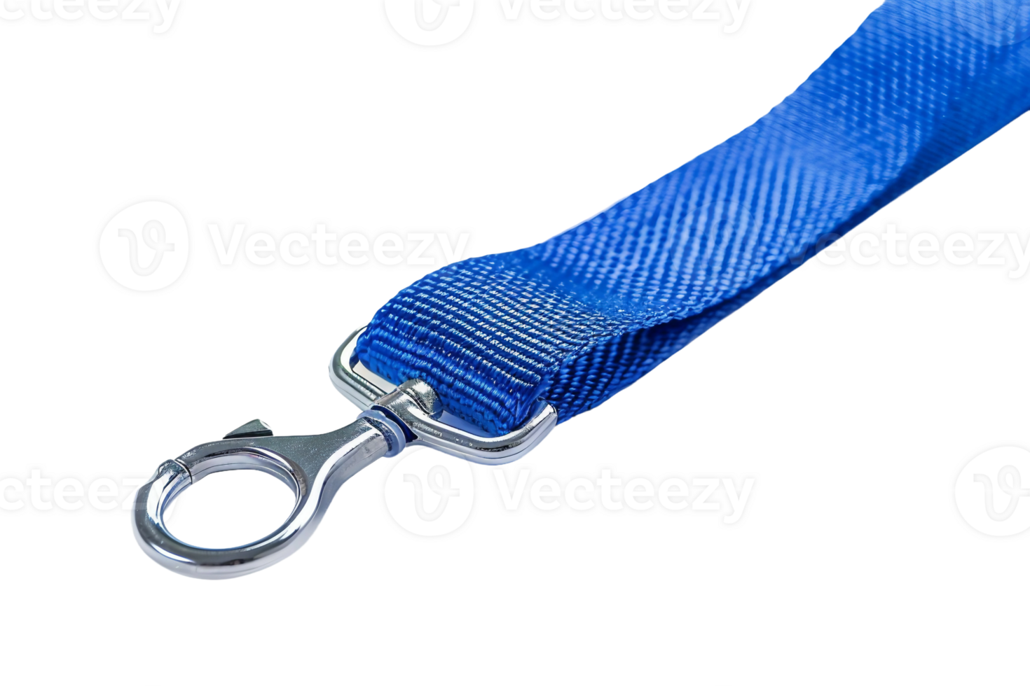 Event Lanyard On Transparent Background. png