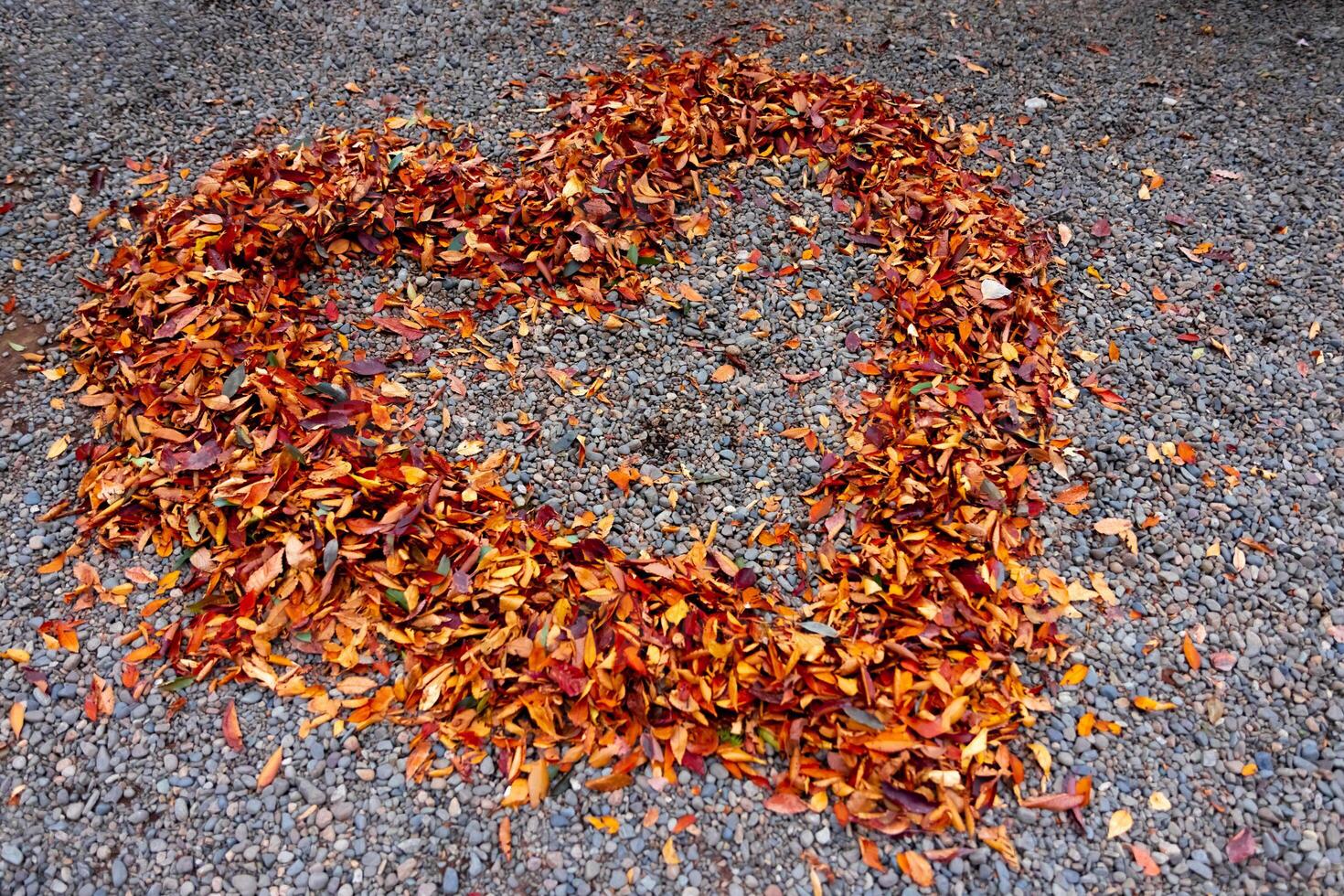 A heart shaped surrounded red leaves on the ground in autumn photo