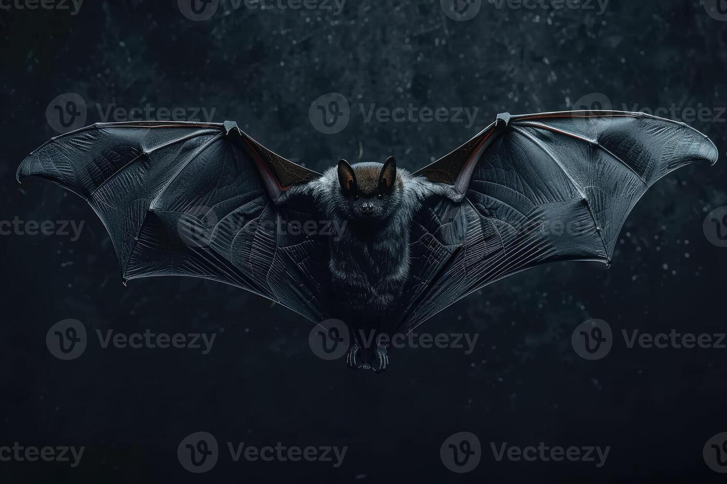 Flying bat with intense gaze in the dark photo