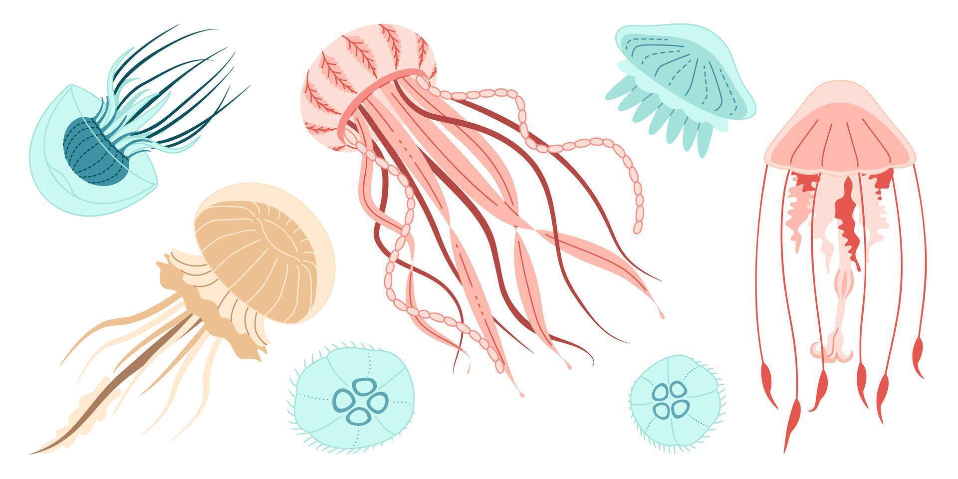 Jellyfish cartoon icon collection. Medusa trendy flat style icon set. Isolated on white background. illustration vector