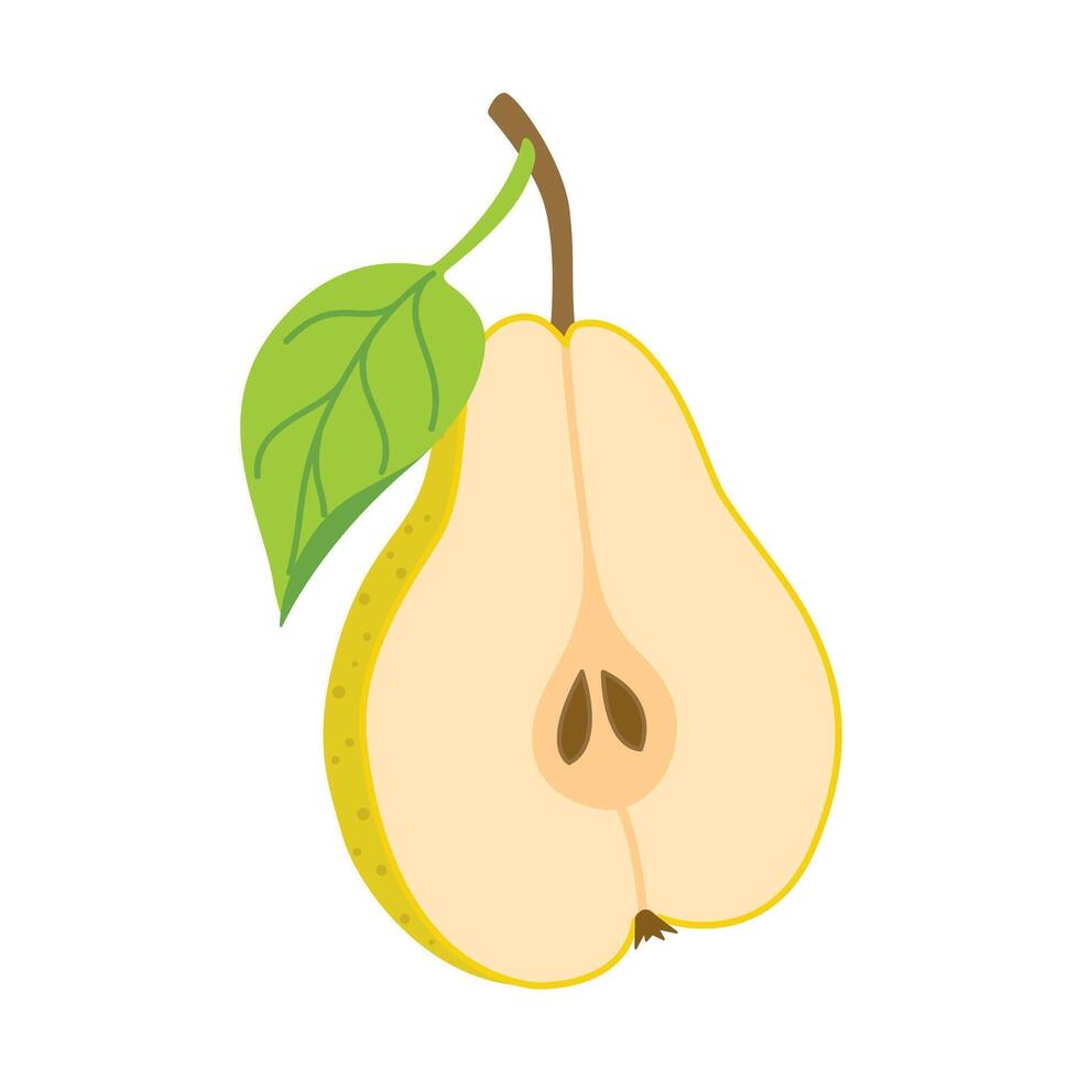 Sliced juicy pear cartoon style. Fresh pear with leaves. Modern flat illustration chopped pear, fruits, healthy eating. Isolated on white background. illustration vector