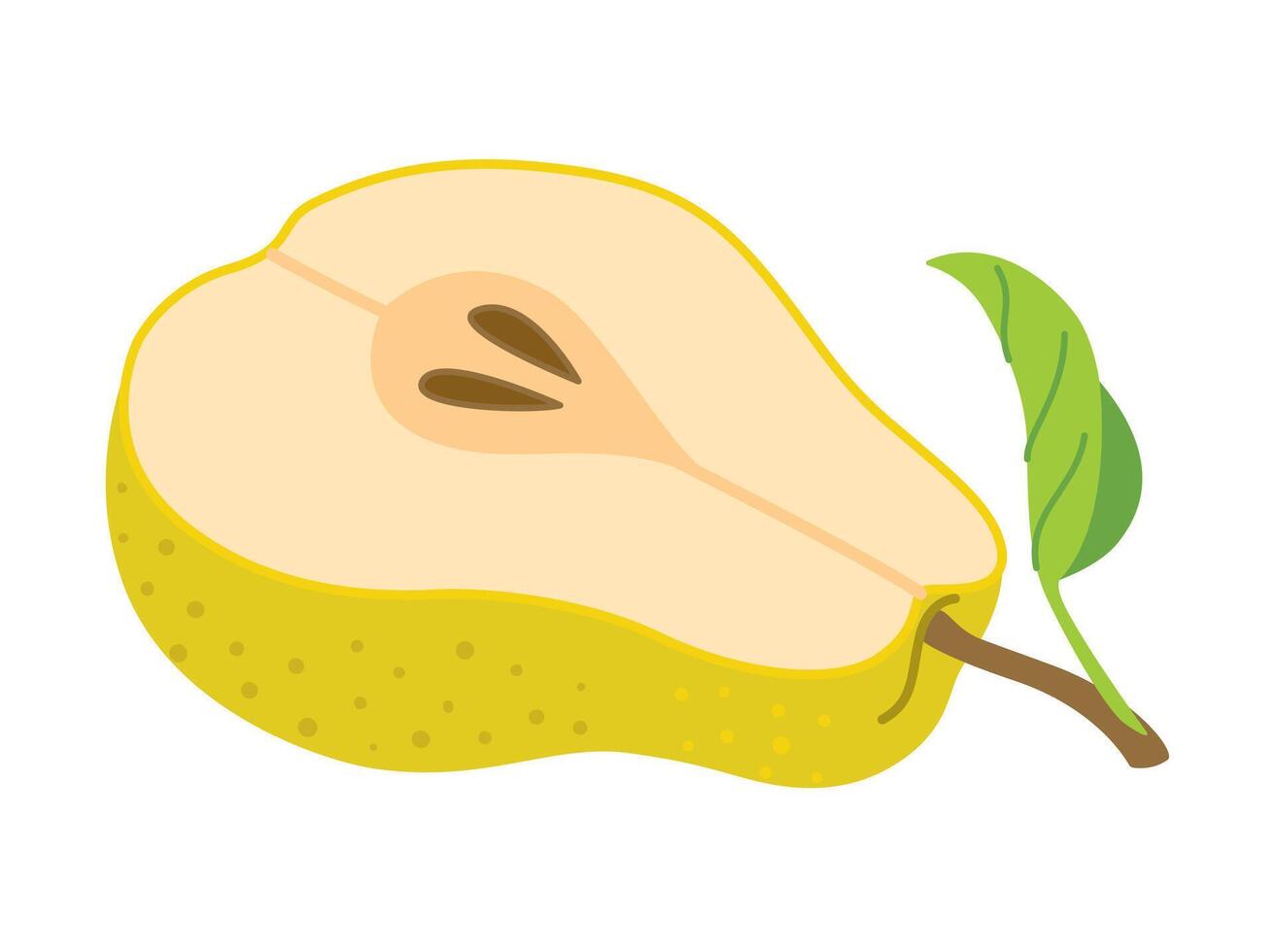 Sliced juicy pear cartoon style. Fresh pear with leaves. Modern flat illustration chopped pear, fruits, healthy eating. Isolated on white background. illustration vector
