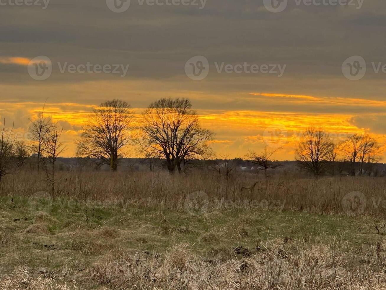 Dawn in the morning in nature on the river photo