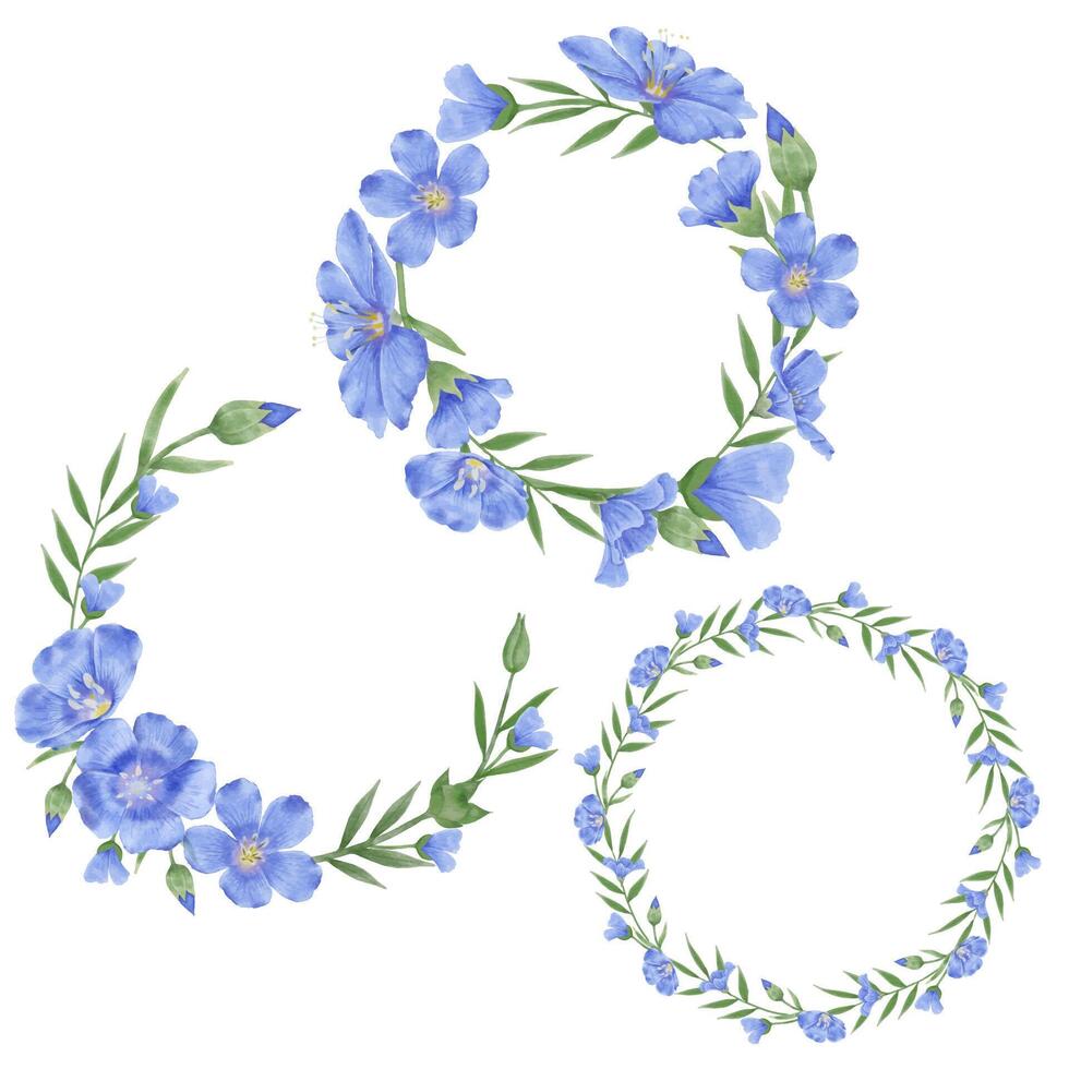 Beautiful Watercolor Flax Flowers - Spring Botanical Design vector