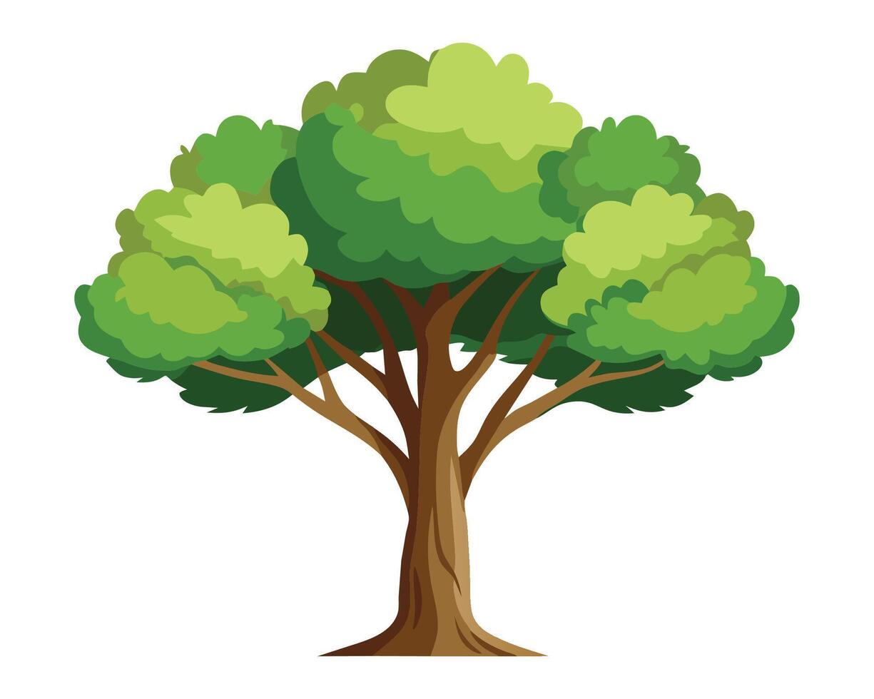 Poplar tree isolated flat illustration on white background vector