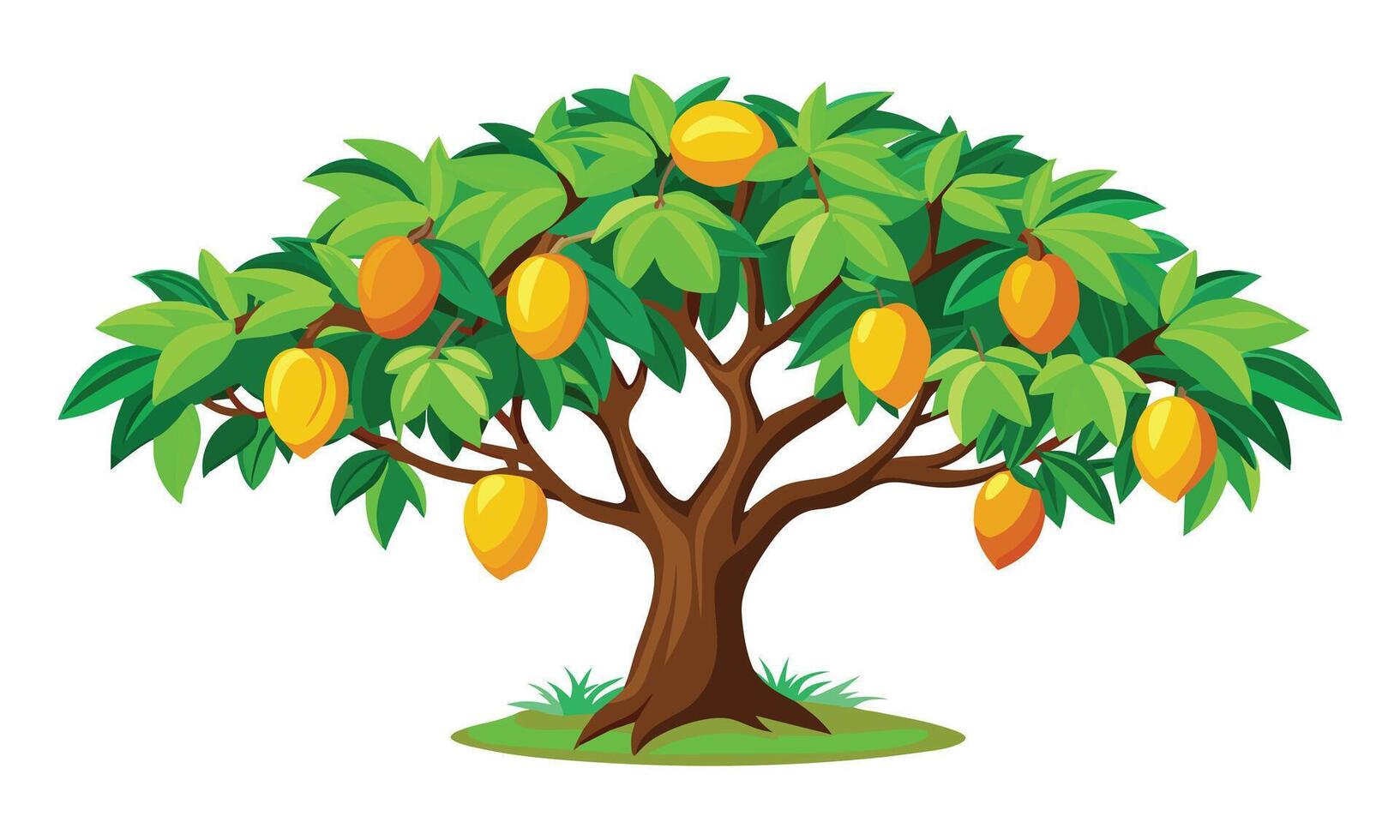 Mango tree isolated flat illustration on white background vector