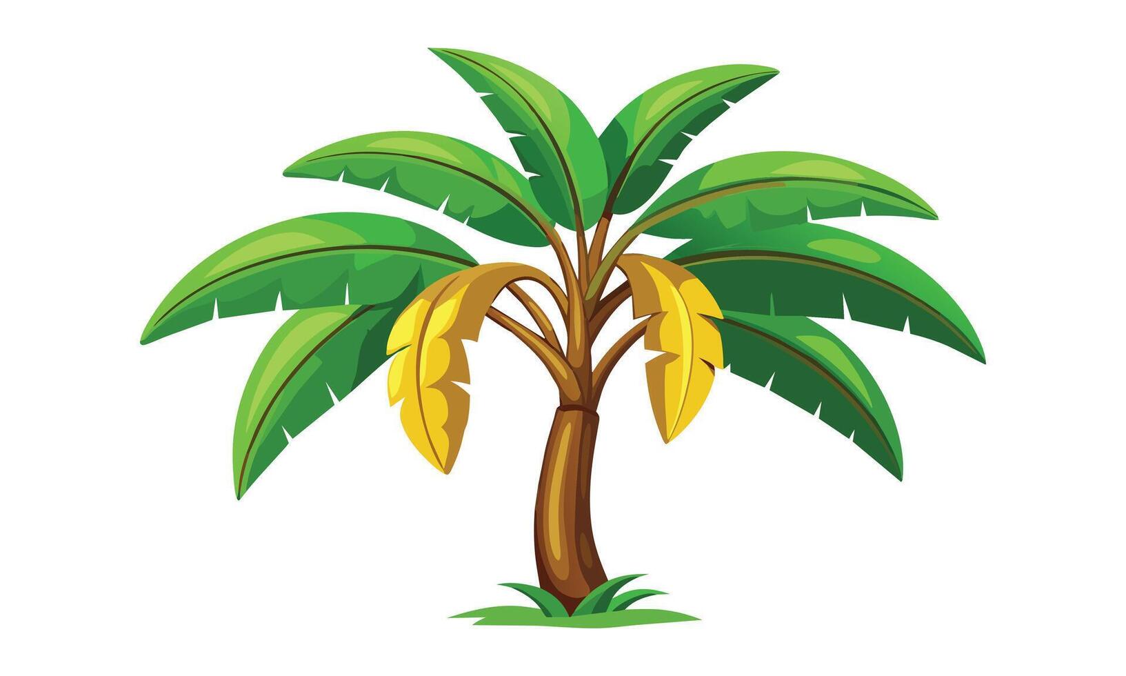 Banana tree isolated flat illustration on white background. vector