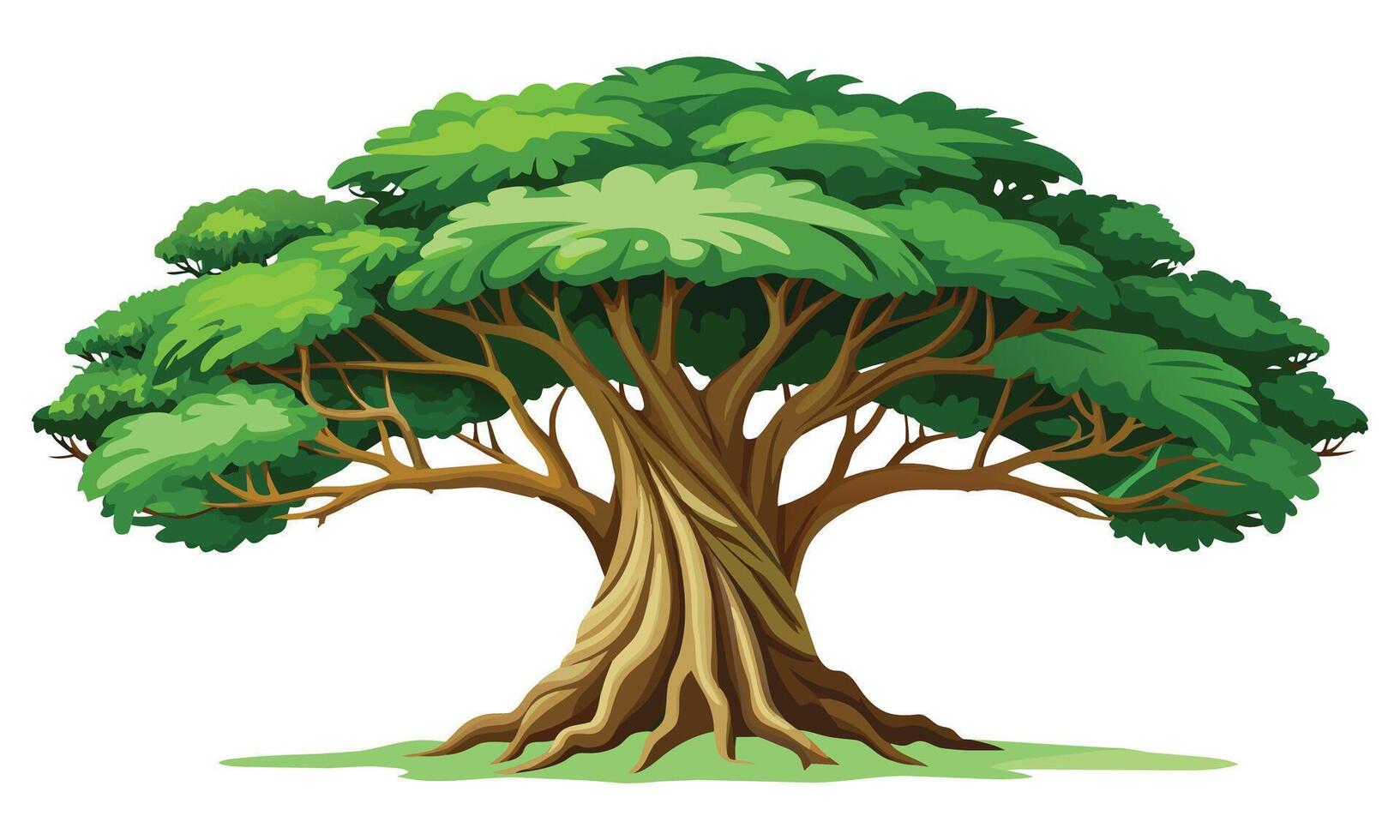 Banyan tree isolated flat illustration on white background vector