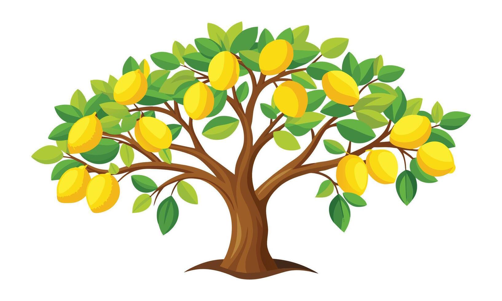 Lemon tree outline isolated flat illustration on white background. vector