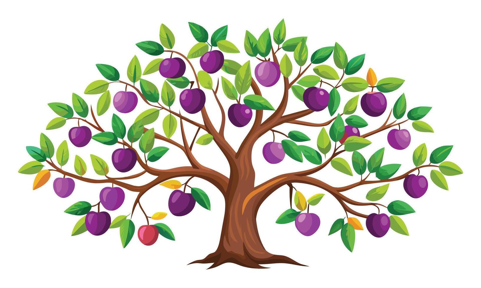 Plum tree isolated flat illustration on white background. vector