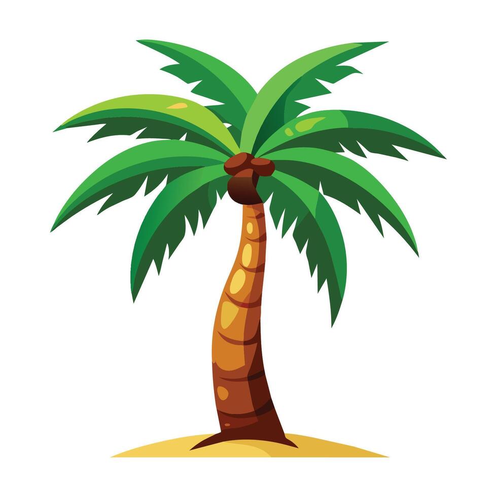 Paim tree isolated flat illustration on white background. vector