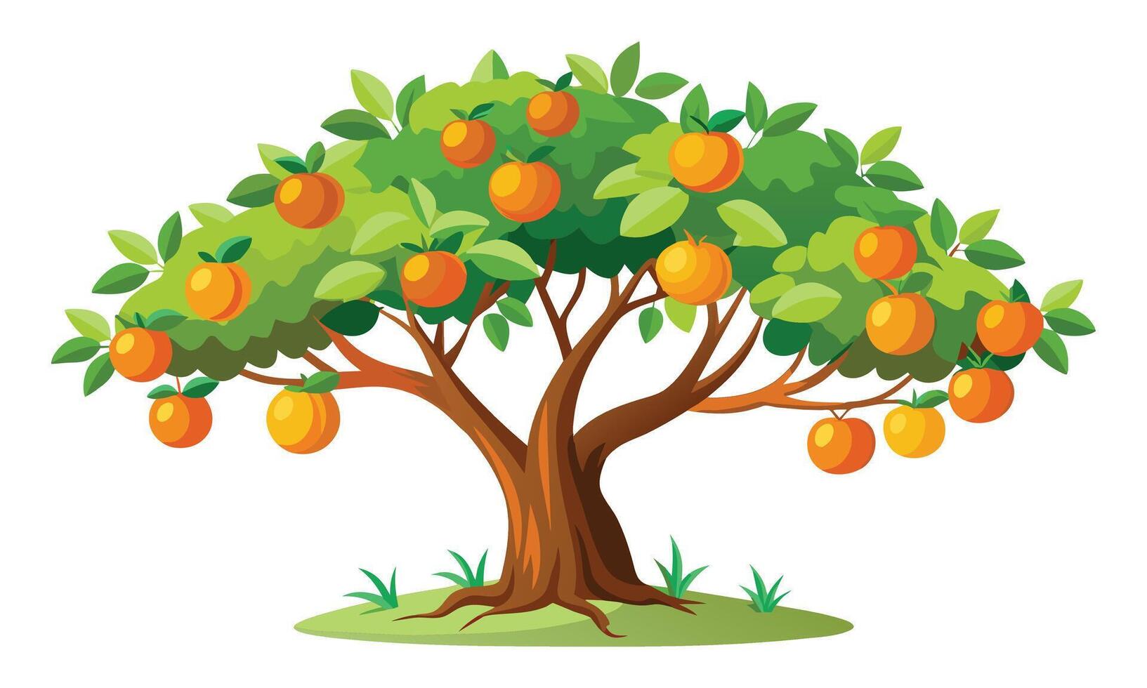 Orange tree isolated flat illustration on white background. vector