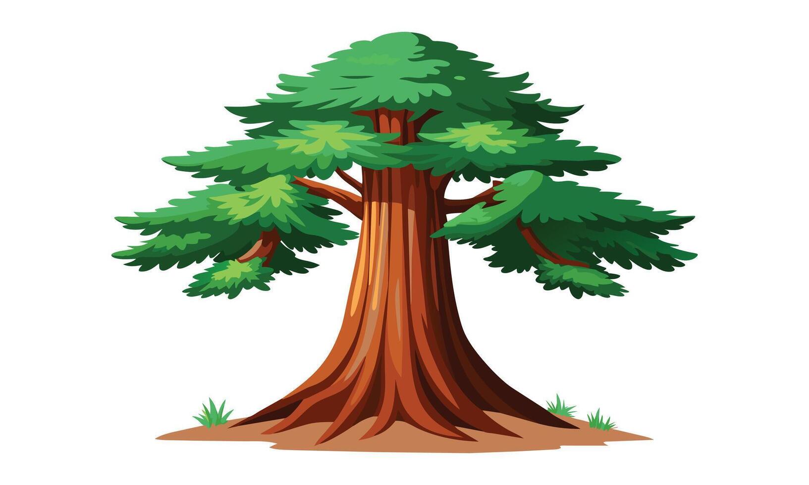 Redwood tree outline isolated flat illustration on white background vector