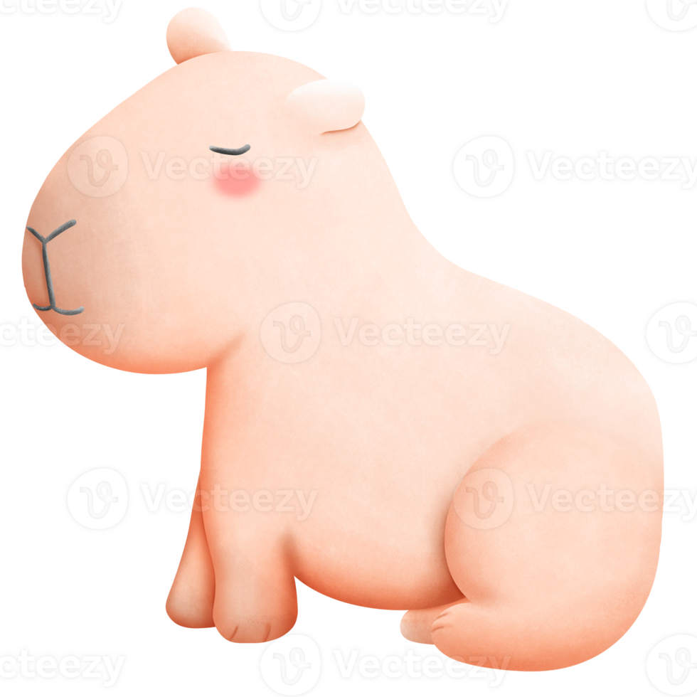 Capybara with turban png