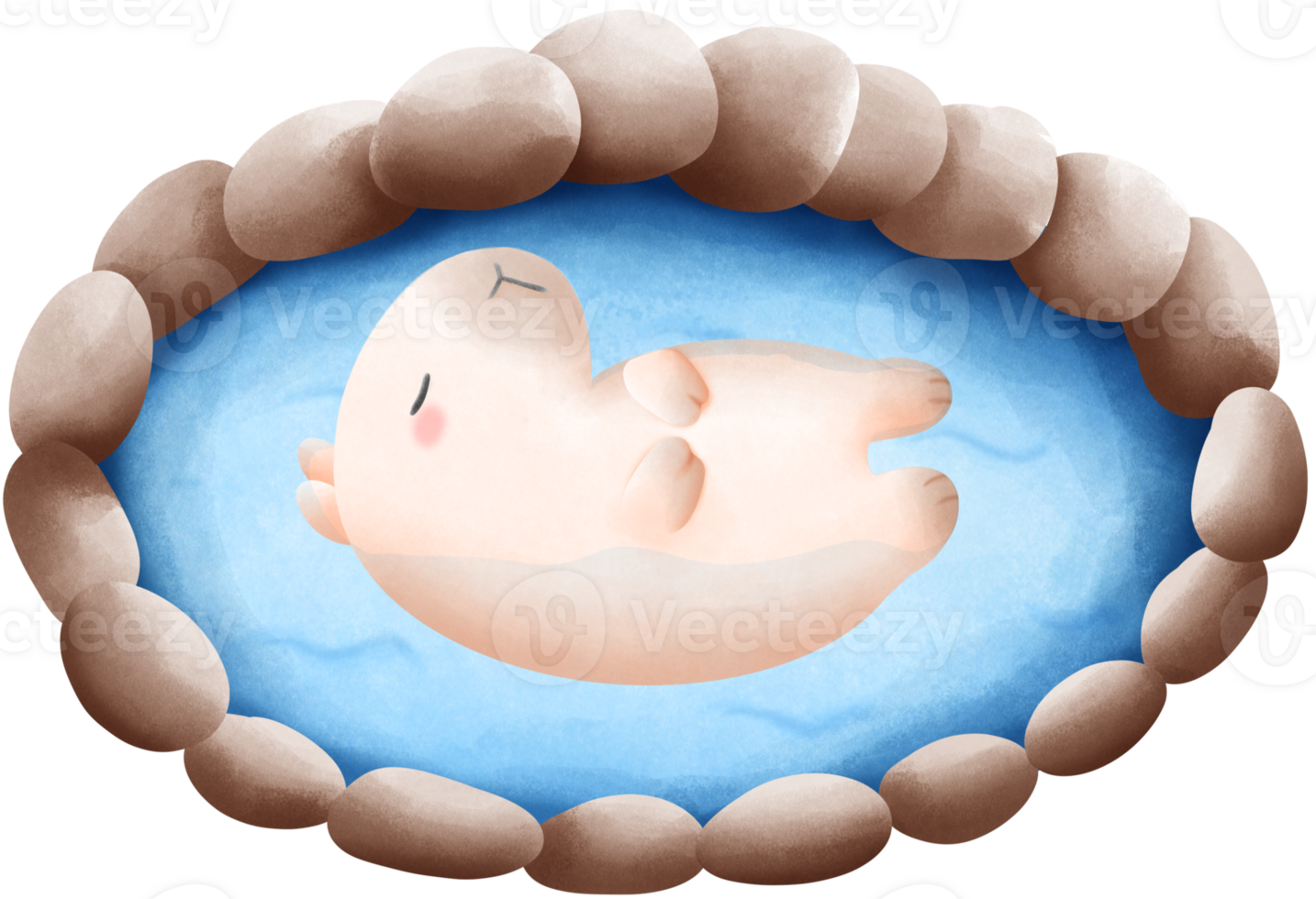 Capybara soaking in hot spring water png