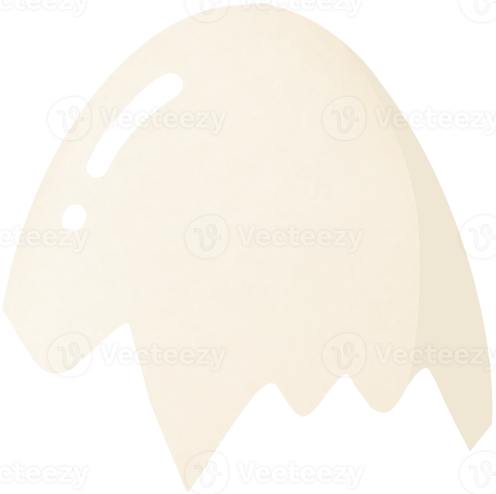 Eggs and eggshells are soft white. png
