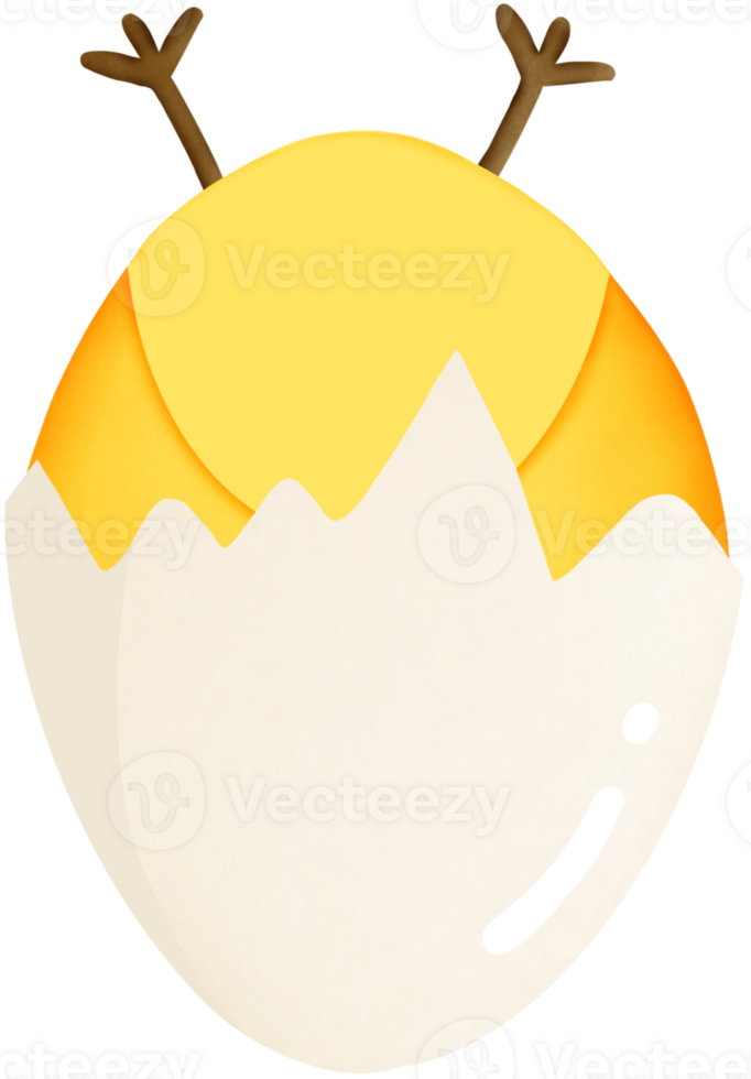 Chick in egg shell png