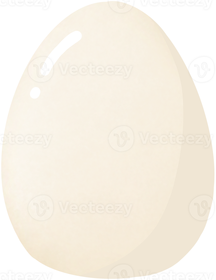 Eggs and eggshells are soft white. png