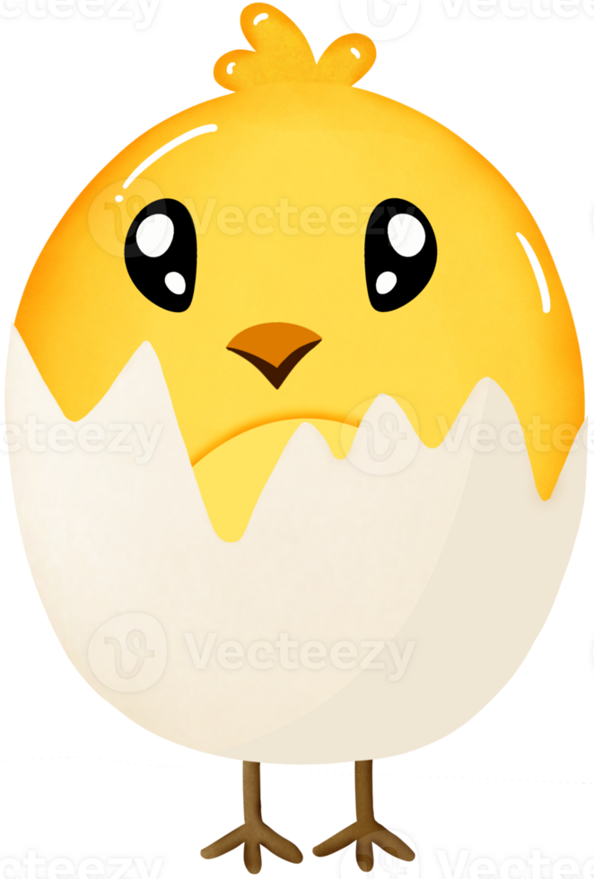 Chick in egg shell png