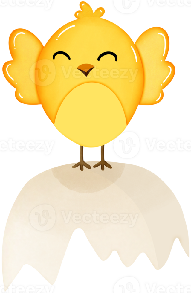 Chick standing on egg shell png