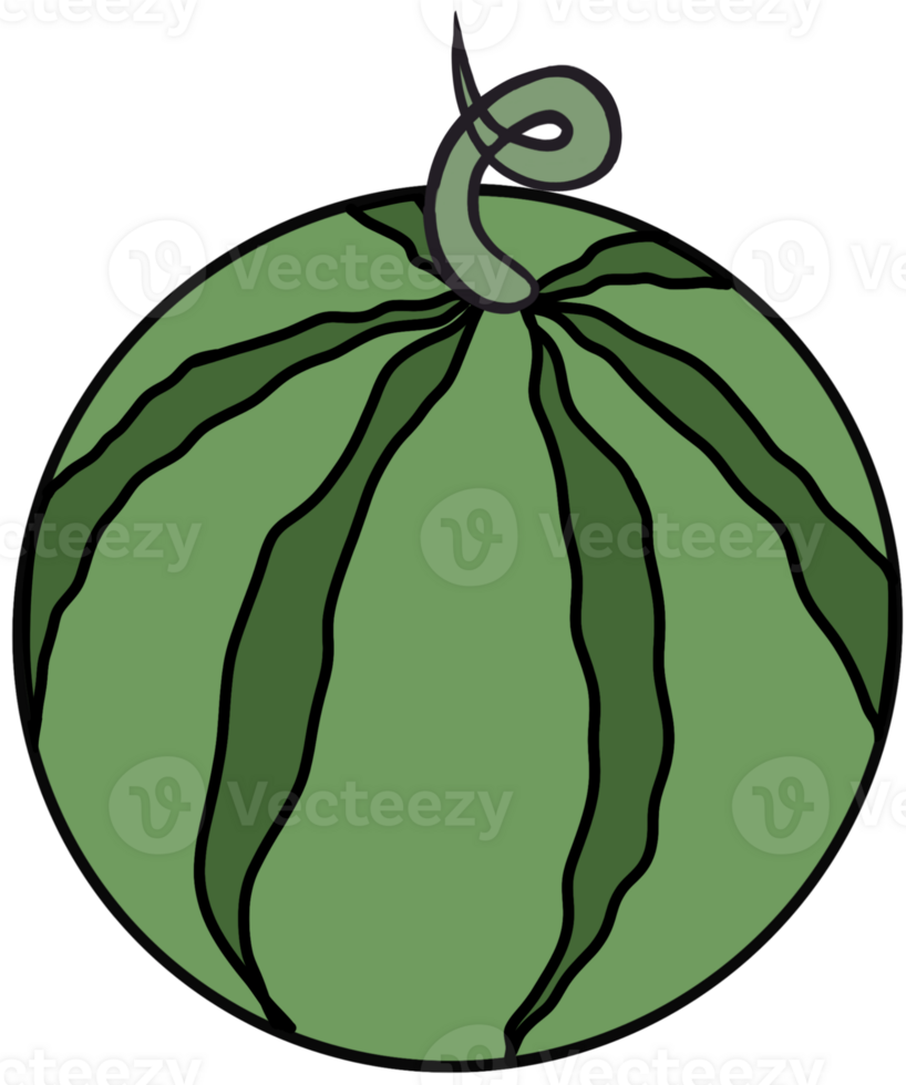 Illustration of 1 watermelon png