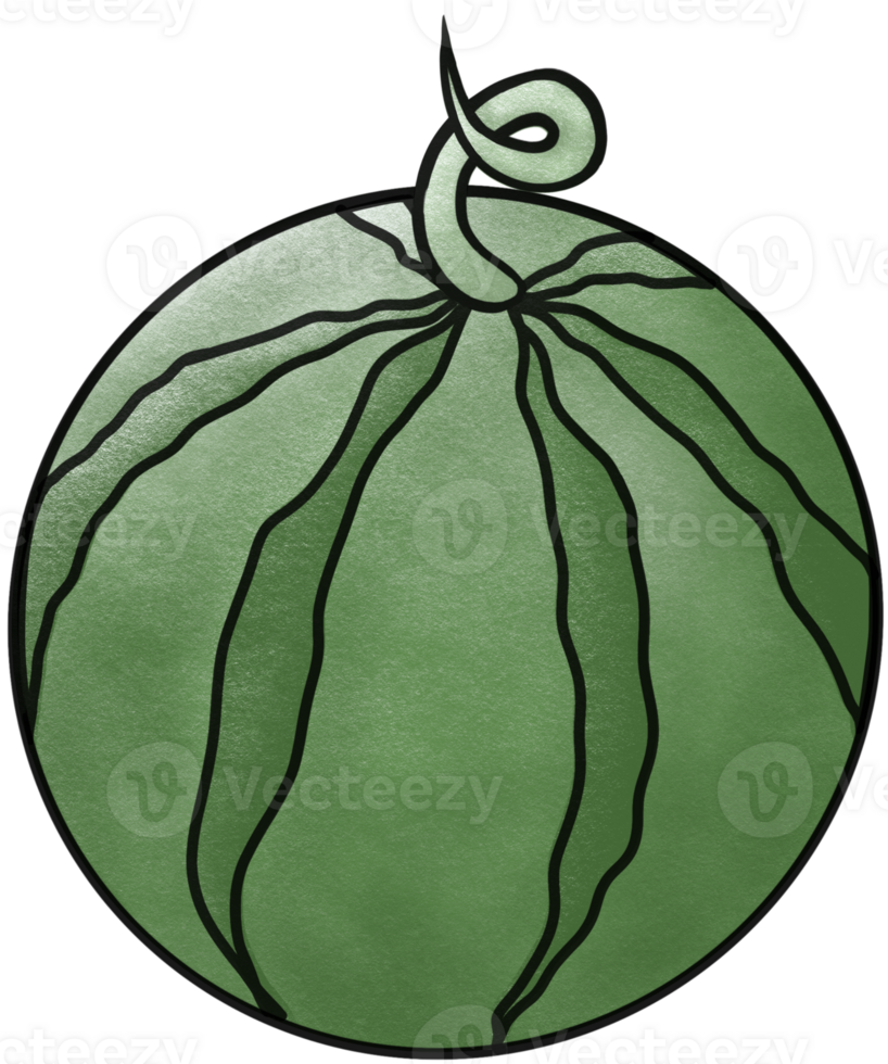 Illustration of 1 watermelon png
