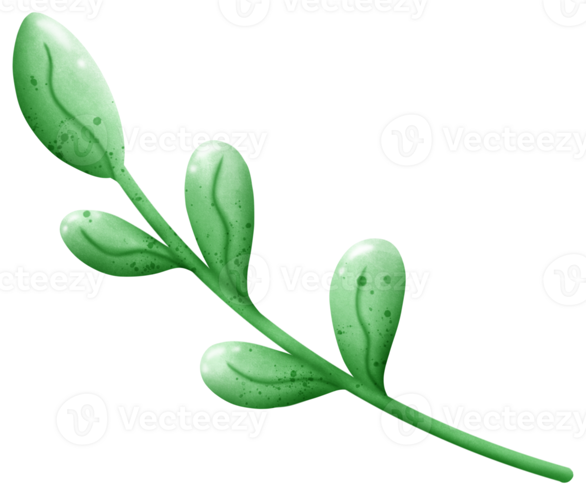 Leaves and grass png
