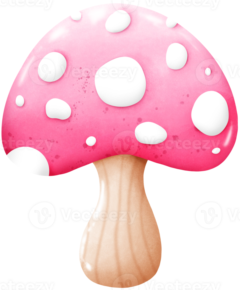 different mushrooms isolated on white background png