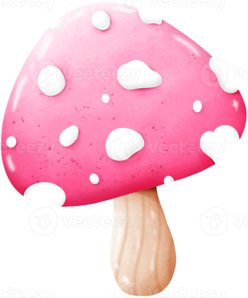 different mushrooms isolated on white background png