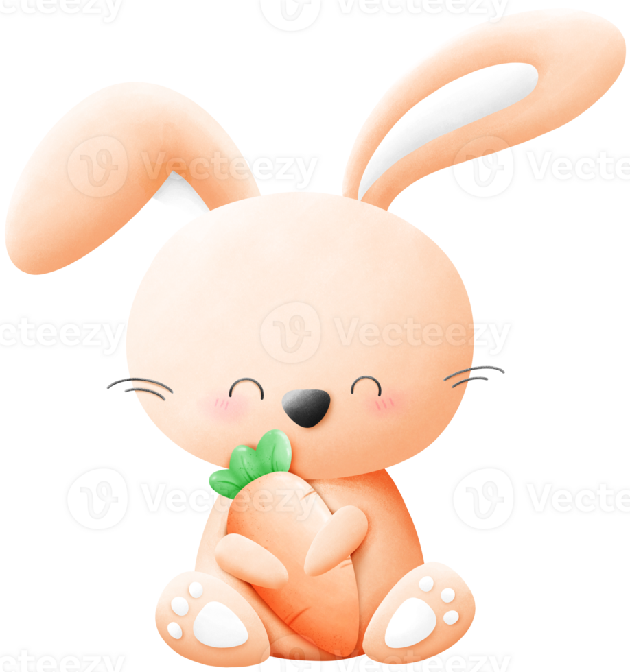 Rabbit and carrot png