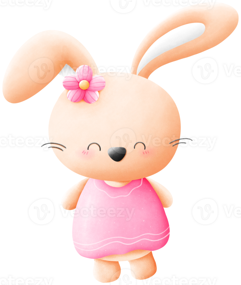 Rabbit and Easter png